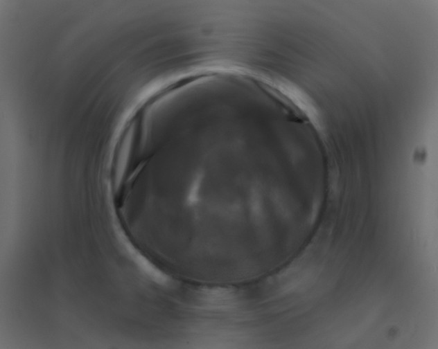 X0000094921334200712131506