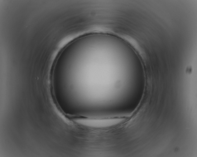 X0000094921335200712131506