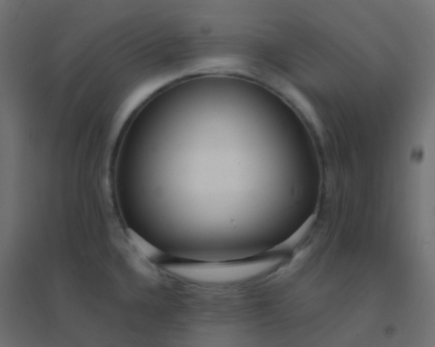 X0000094921336200712131506