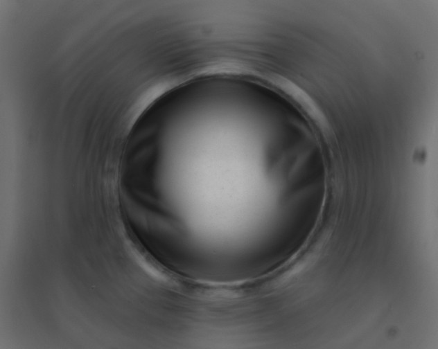 X0000094921337200712131506