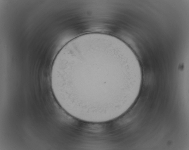 X0000094921338200712131506