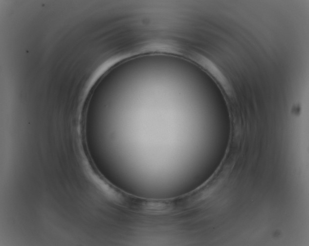 X0000094921339200712131506