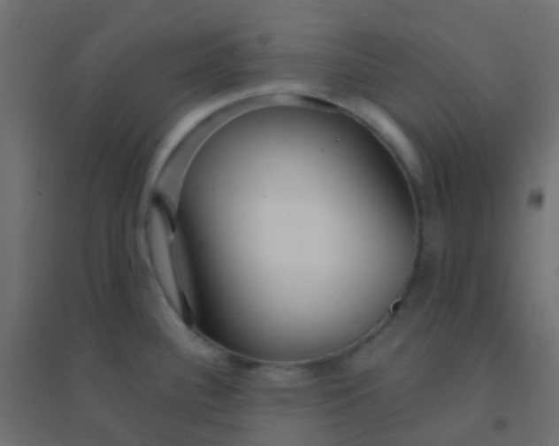 X0000094921340200712131506