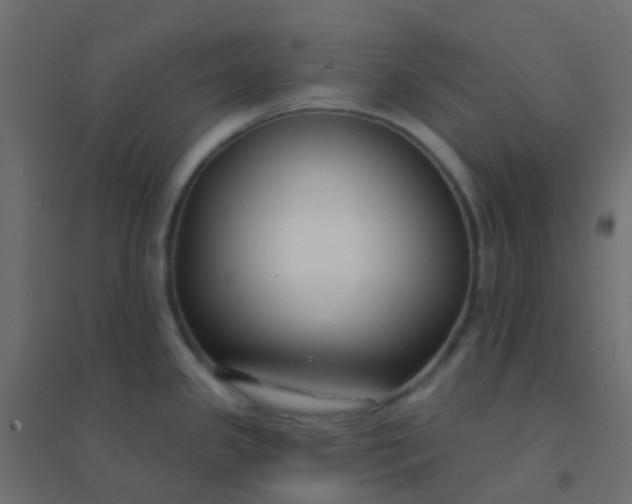 X0000094921341200712131506