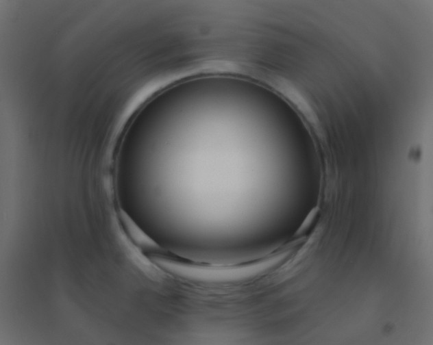 X0000094921342200712131506