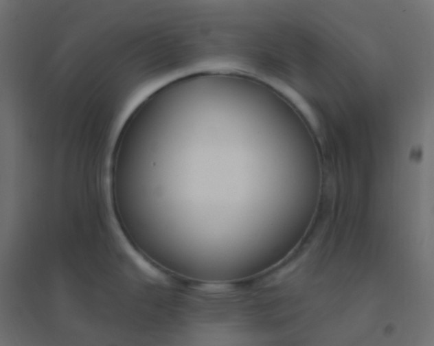 X0000094921343200712131506