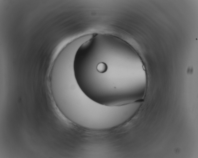 X0000094921344200712131506