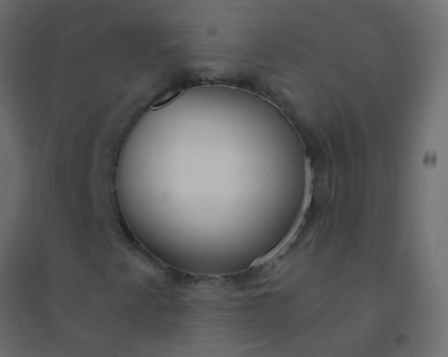 X0000094921345200712131506