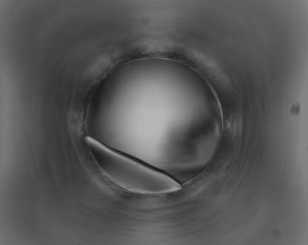 X0000094921348200712131506