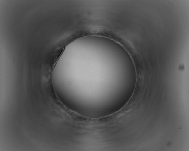 X0000094921349200712131506