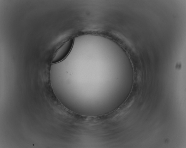 X0000094921350200712131506