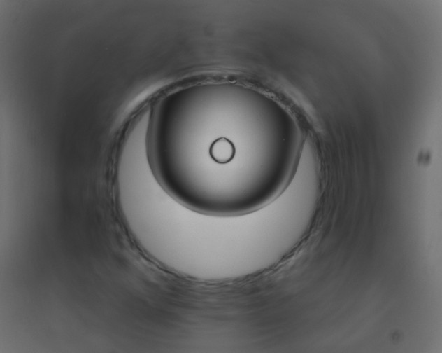 X0000094921352200712131506