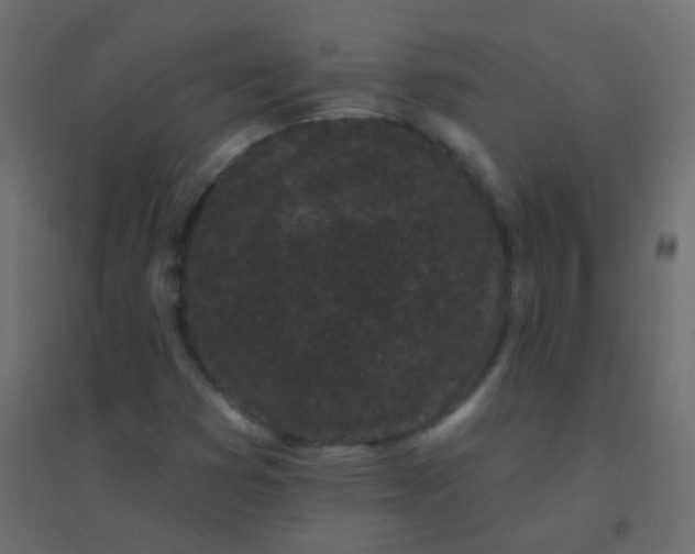 X0000094921353200712131506