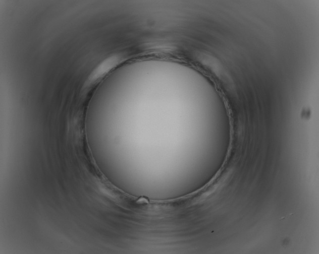 X0000094921354200712131506