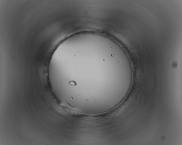 X0000094921355200712131506