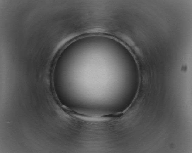 X0000094921356200712131506