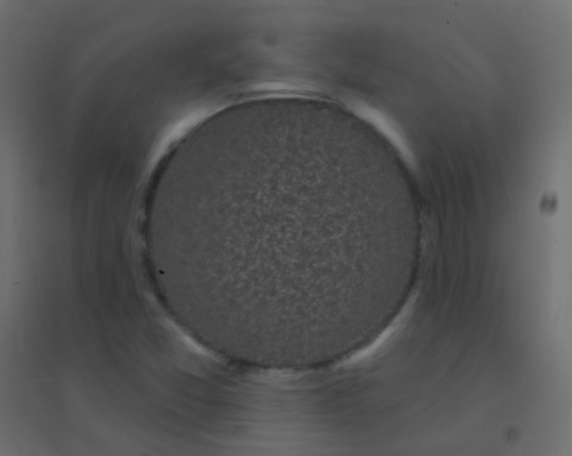 X0000094921357200712131506