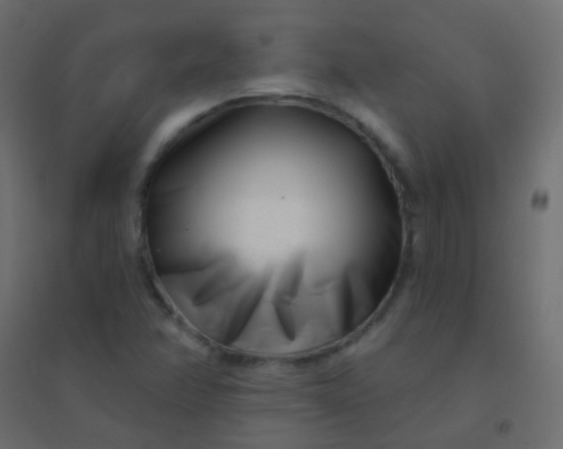 X0000094921358200712131505