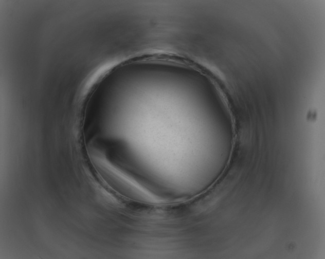 X0000094921359200712131505