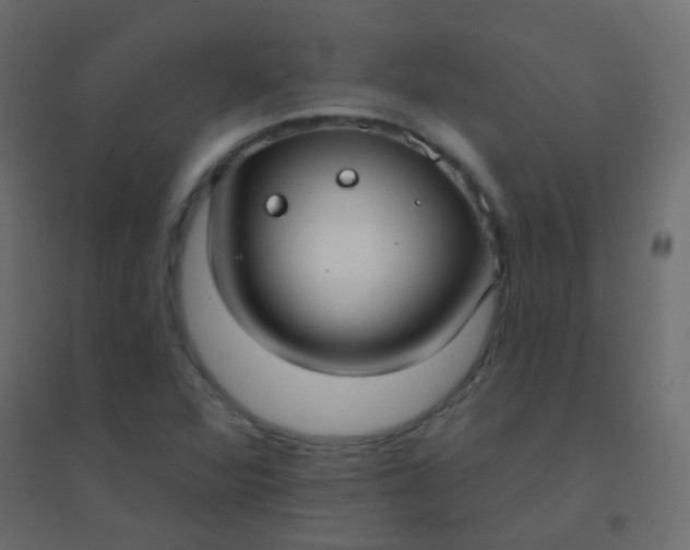 X0000094921360200712131505