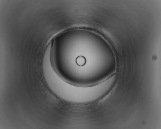 X0000094921361200712131505