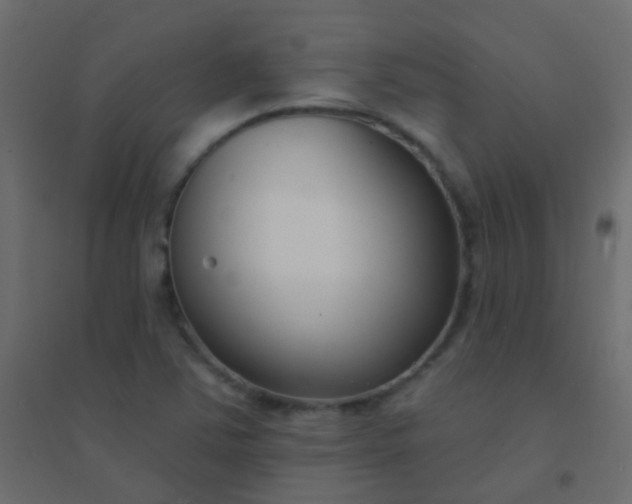 X0000094921363200712131505