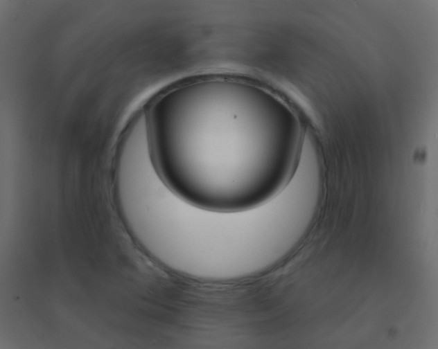 X0000094921364200712131505