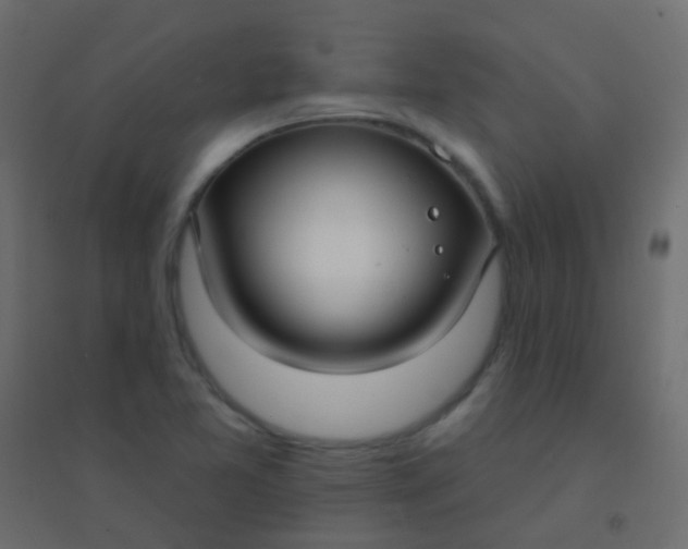 X0000094921365200712131505