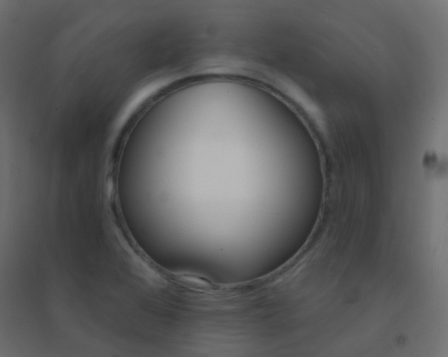 X0000094921368200712131505