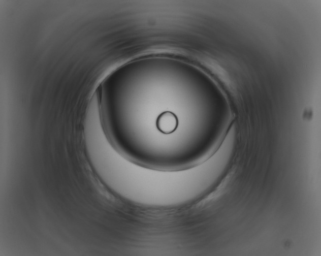 X0000094921369200712131505