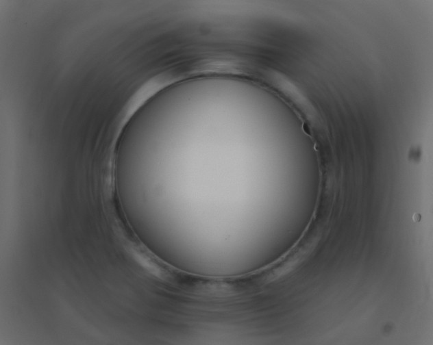 X0000094921370200712131505