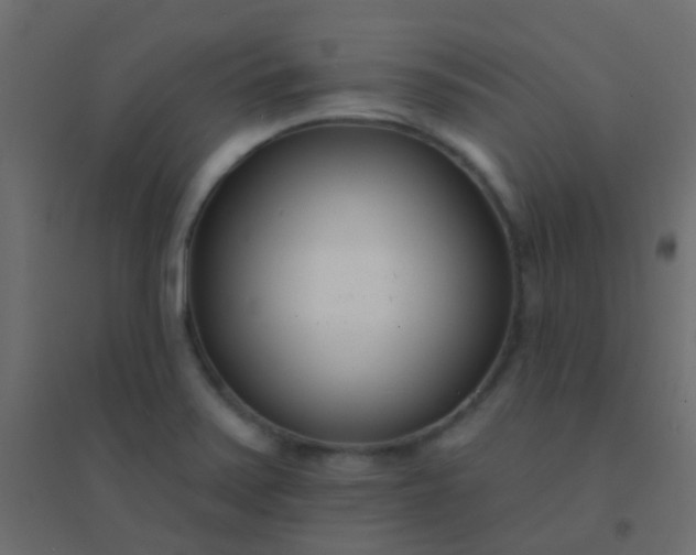 X0000094921371200712131505