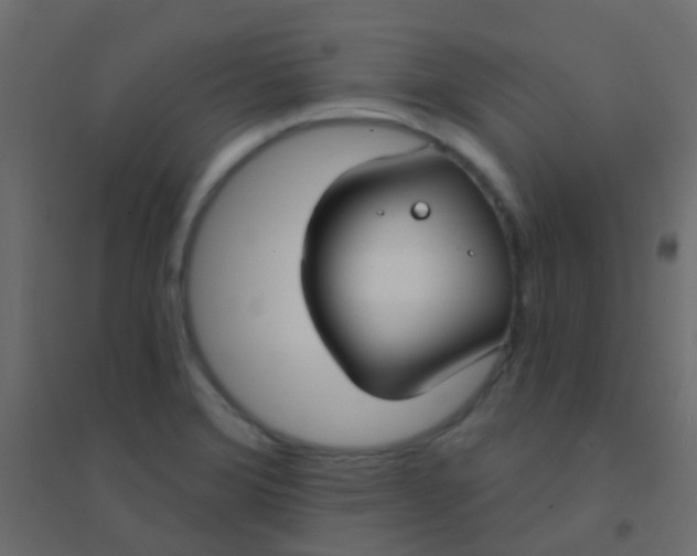 X0000094921372200712131505