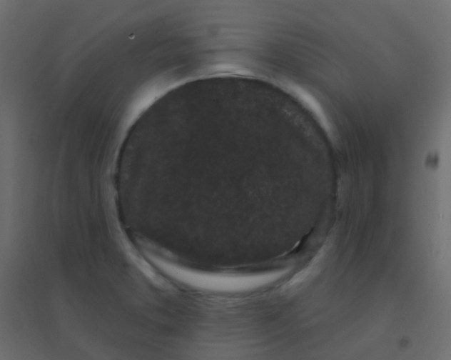 X0000094921373200712131505