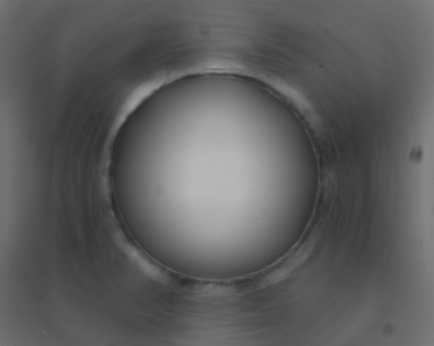 X0000094921374200712131505