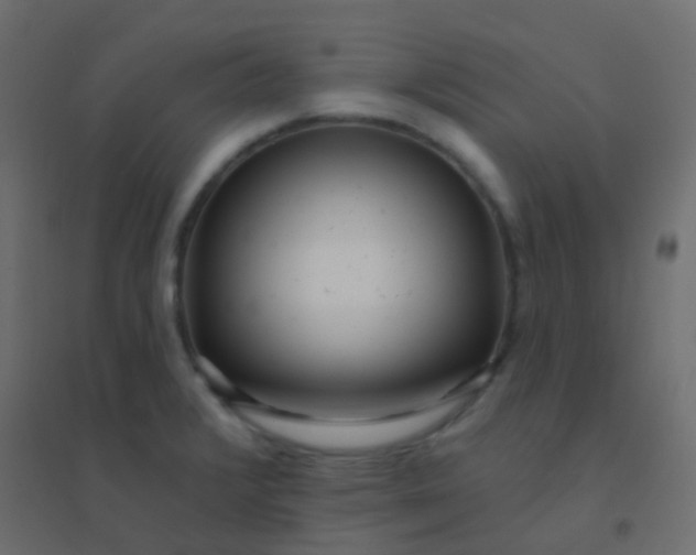 X0000094921376200712131505