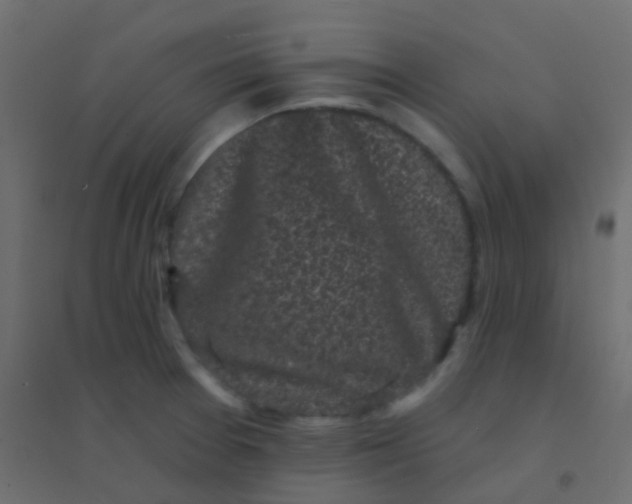 X0000094921377200712131505