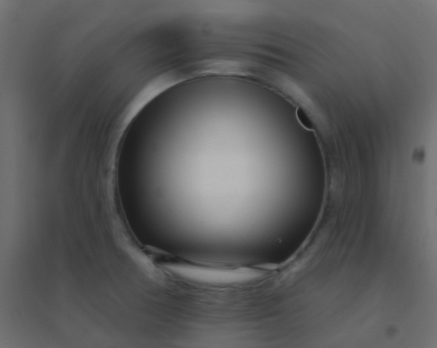 X0000094921378200712131505