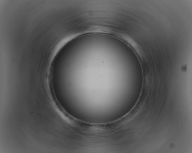 X0000094921379200712131505