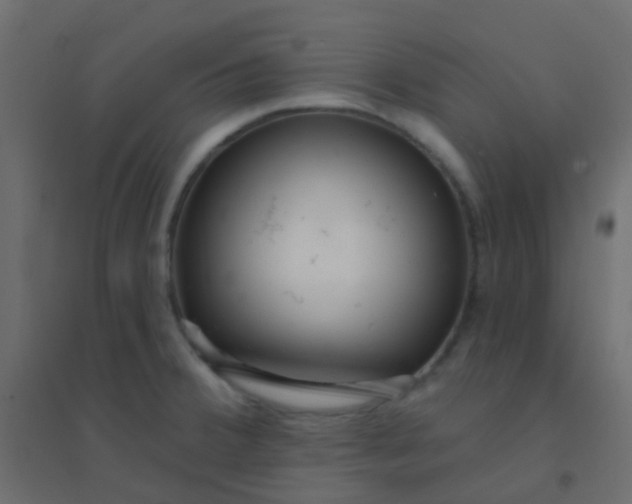 X0000094921380200712131505