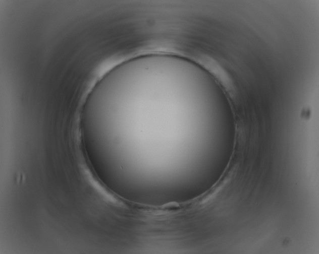 X0000094921382200712131505