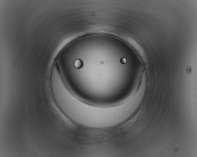 X0000094921384200712131505