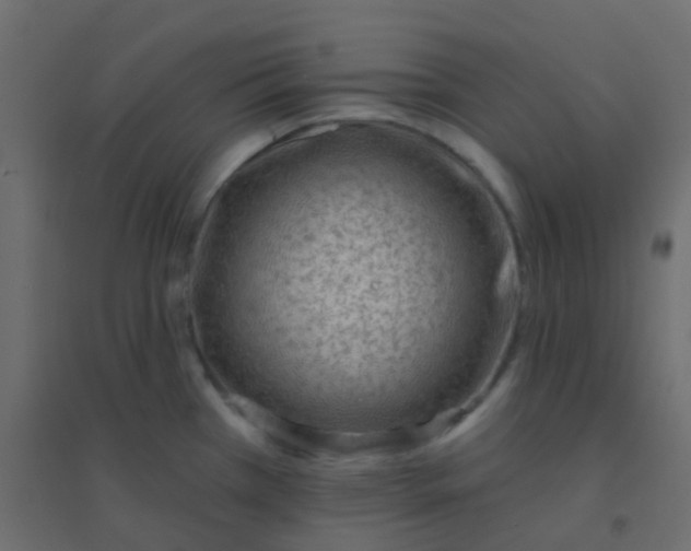 X0000094921385200712131505