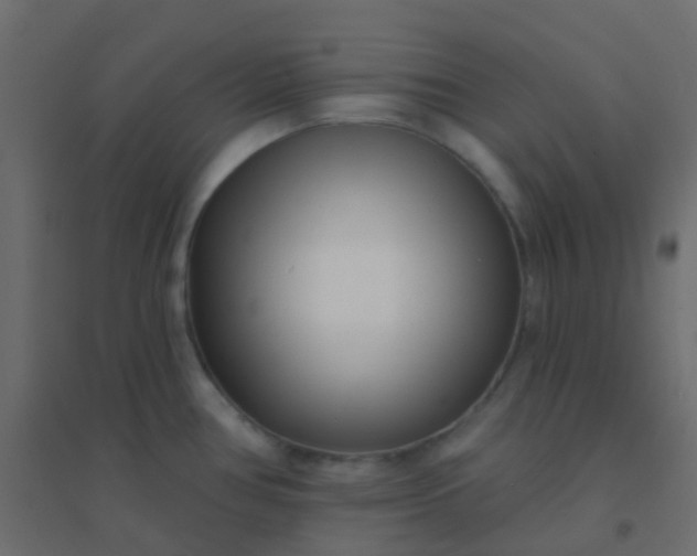 X0000094921386200712131505