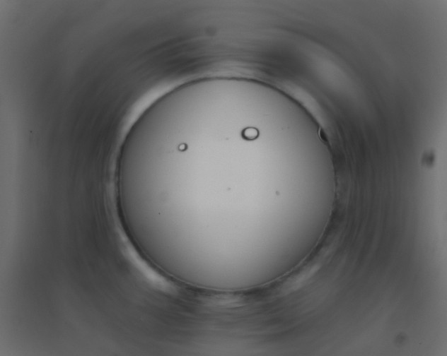 X0000094921387200712131505