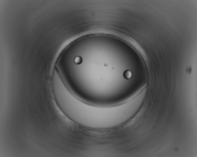 X0000094921388200712131505