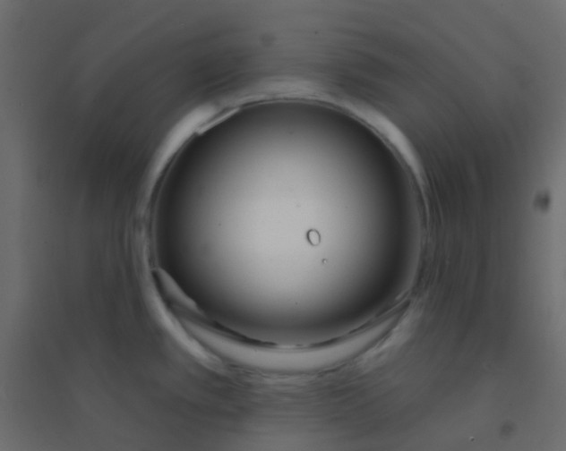 X0000094921389200712131505