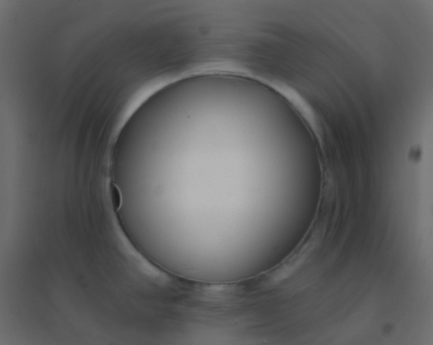 X0000094921390200712131505