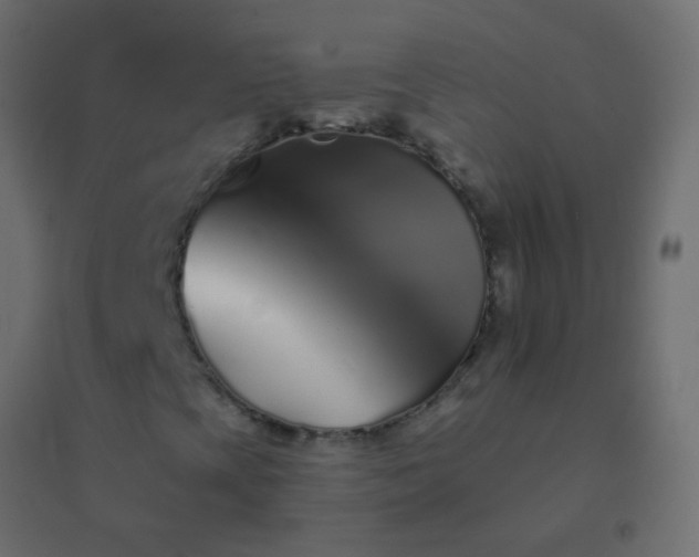 X0000094921393200712131504