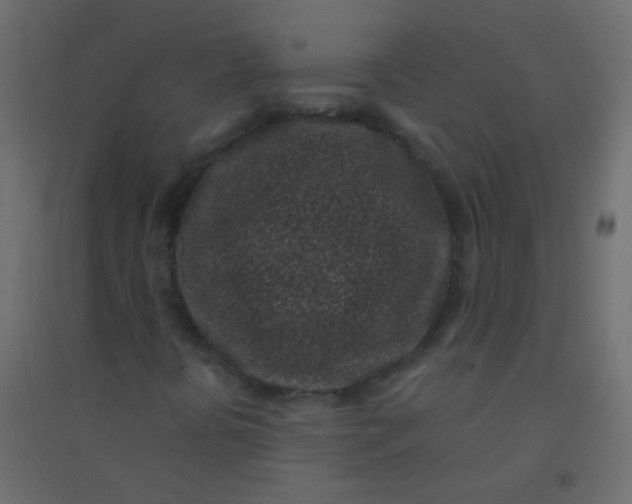 X0000094921394200712131504